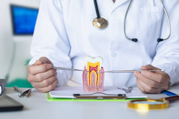 Best Broken or Cracked Tooth Emergency Dentist in Ojai, CA